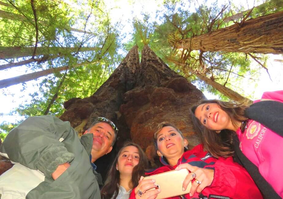 Excursion-a-Muir-Woods-Mill-Valley-y-Sausalito-San-Francisco.jpg