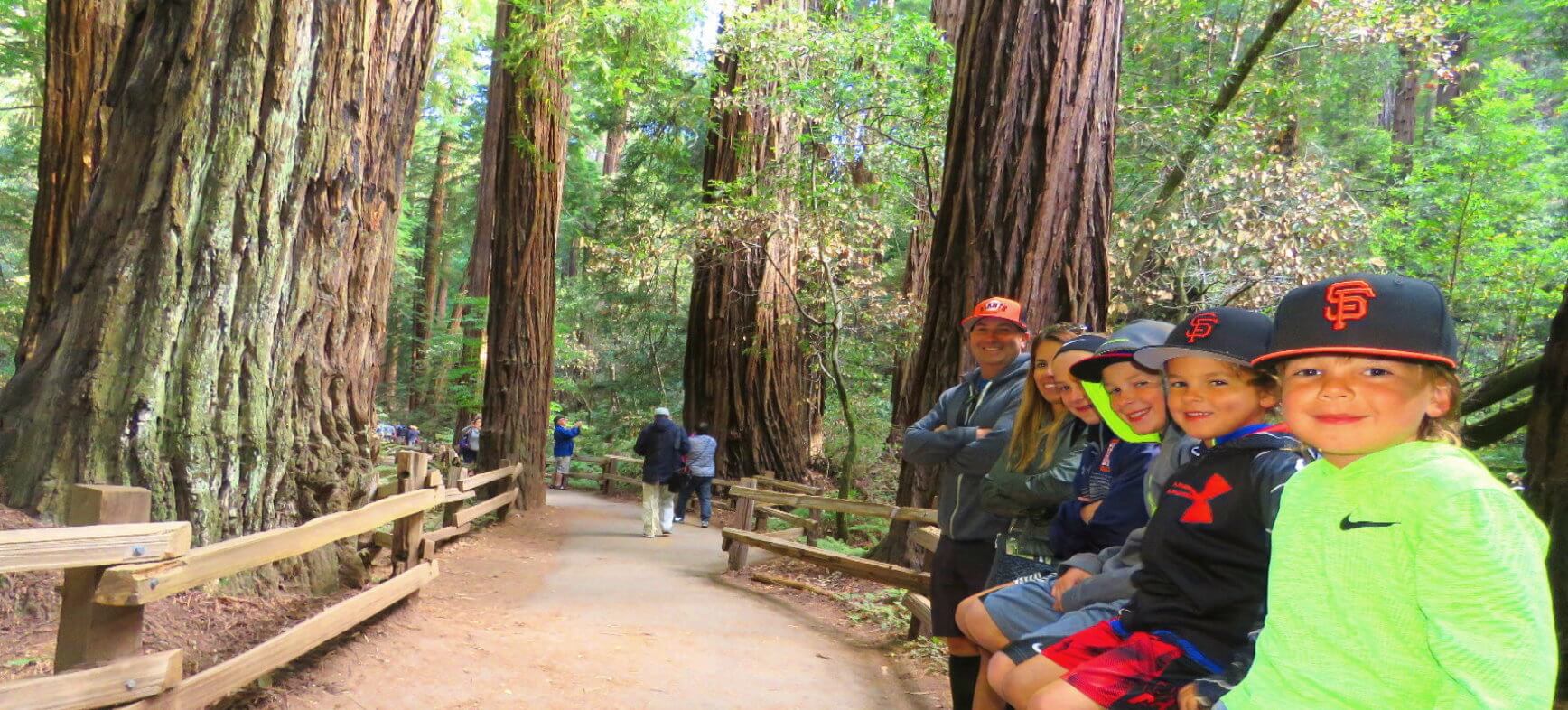 Muir-Woods-Park-Giant-Redwood-Trees