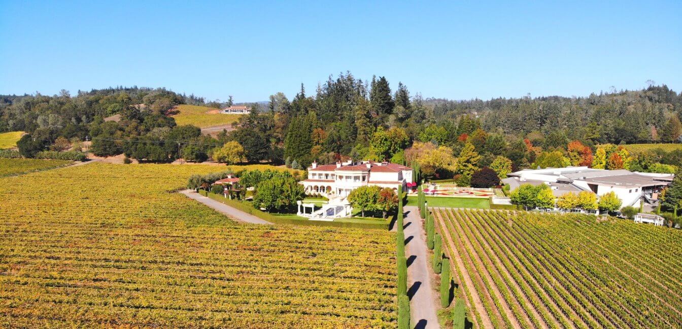 Must-visit-wineries-Dry-Creek-Valley-Sonoma-County-SF.jpg