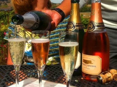Napa-Valley-wine-country-wineries-tasting.jpg