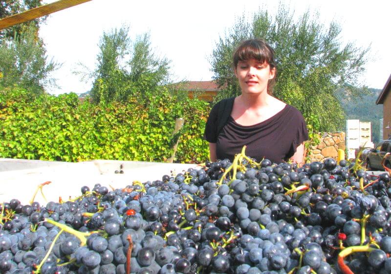 Visit-Sonoma-Valley-Wineries-and-Napa.jpg