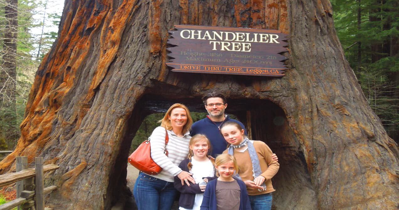 redwood-national-park-tours-avenue-of-the-giants.jpeg