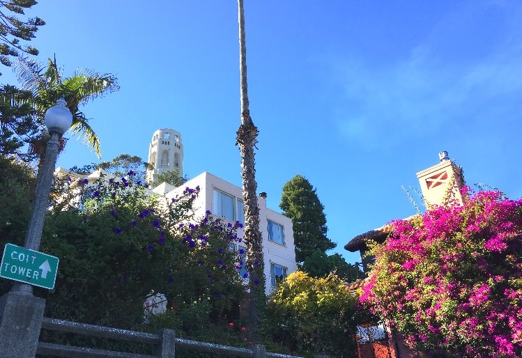 telegraph_hill___san_francisco_best_things_to_do.jpg