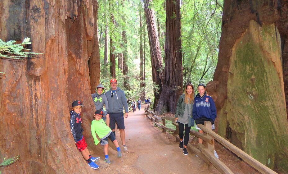 tour-de-redwoods-desde-sanfrancisco.jpg