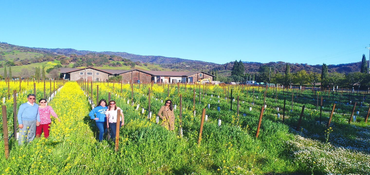tours-a-las-regiones-vinícolas-del-valle-de-Sonoma.jpg