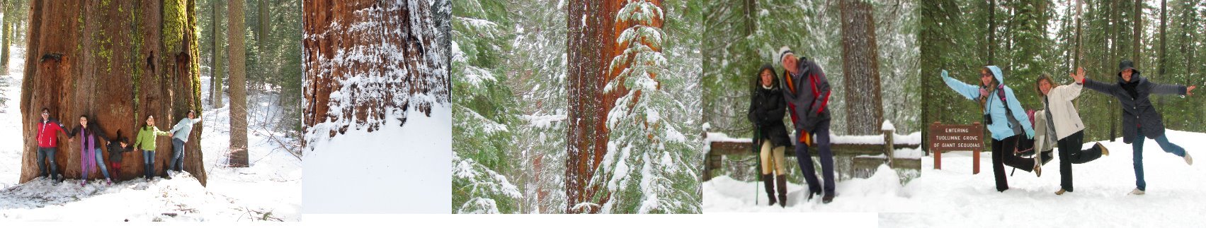 vacation_package_yosemite_winter_tours_.jpg