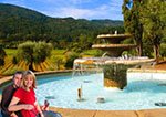 San_Francisco_Wine_Tasting_&_Winery_Tours