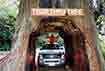 drive_thru_giant_redwood_tree_redwood_national_park