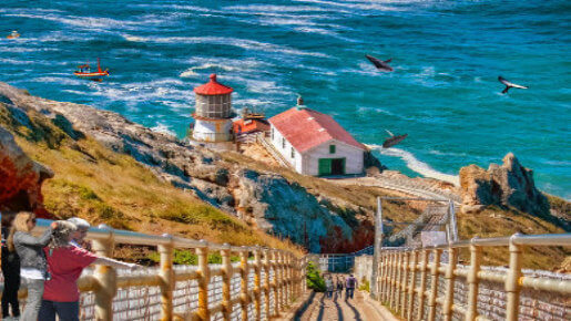/storage/images/homepage/redwoods-wine-monterey/point-reyes-things-to-see-marin-county-attractions.jpg