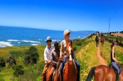 horseback_image.jpg