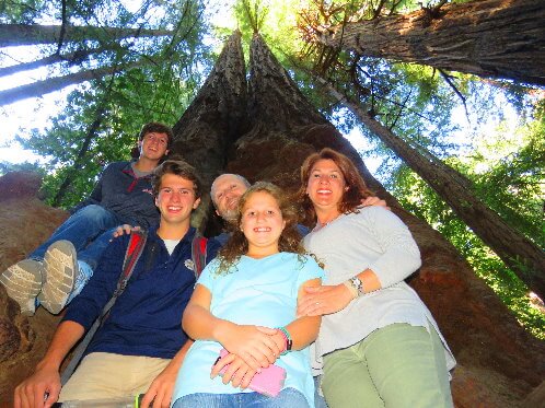 muir_woods_giant_redwoods_.jpg