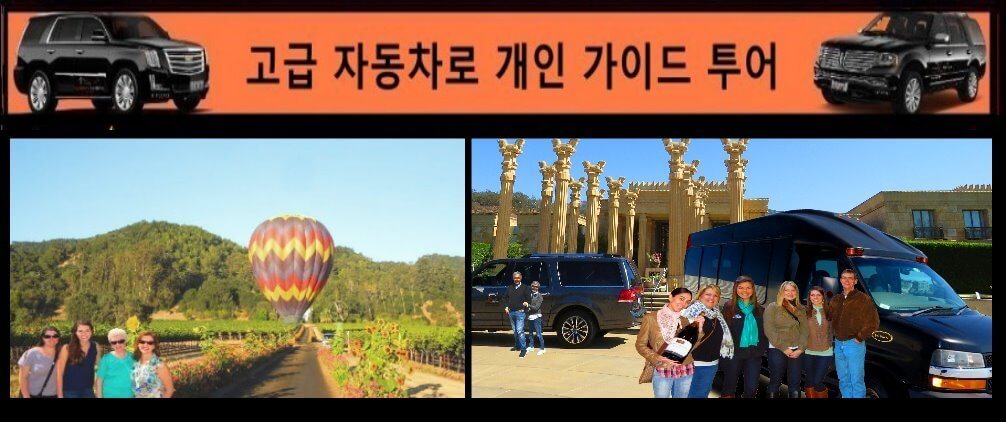 korean-balloon-suv