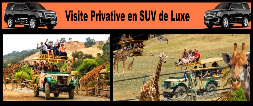 safari-outdoor-family-activities-kids-fun-things-to-see-SUV