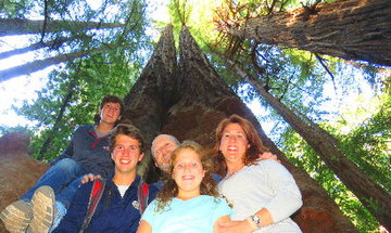 MUIR WOODS PARK OF REDWOODS TOURS.jpg